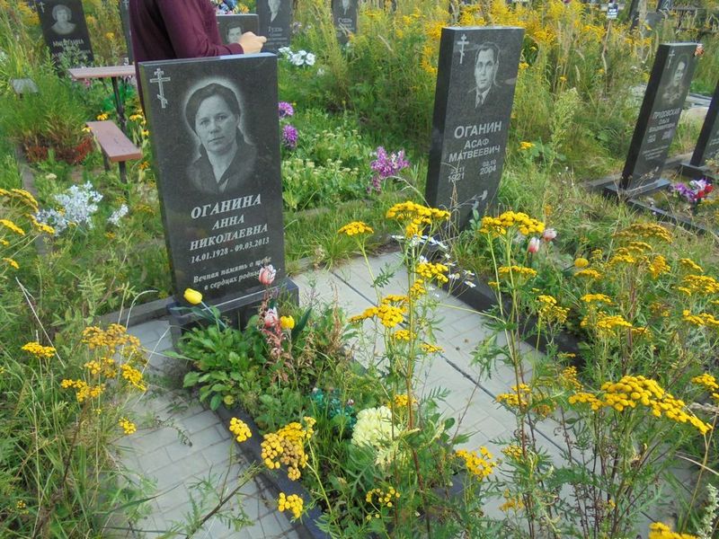 Оганина Анна Николаевна