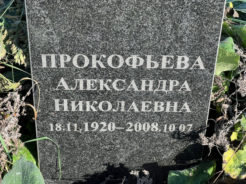 Прокофьева Александра Николаевна