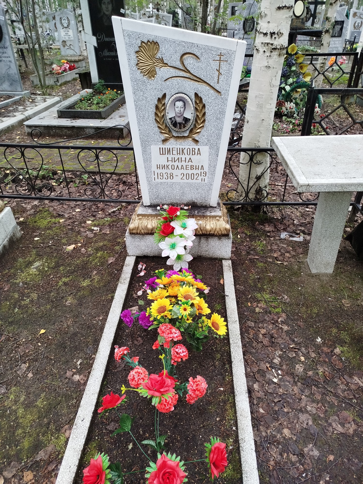 Шиенкова Нина Николаевна