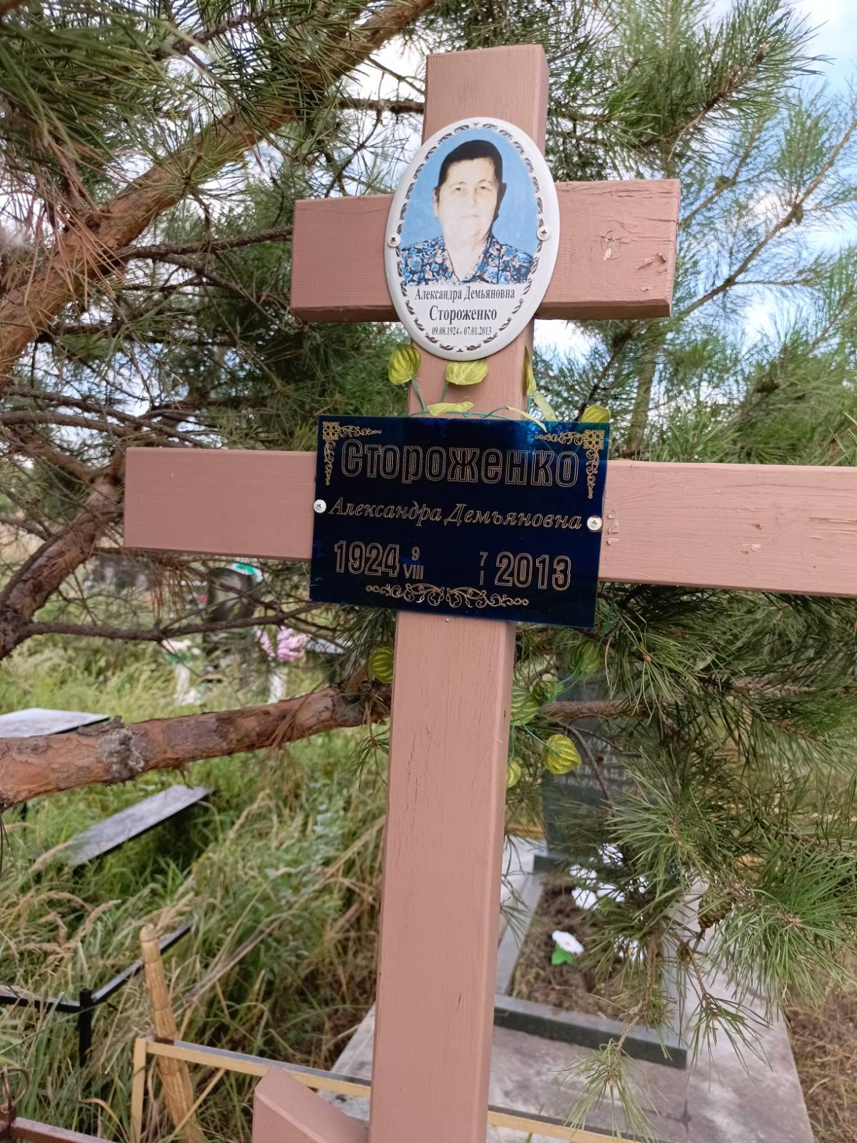 Стороженко Александра Демьяновна