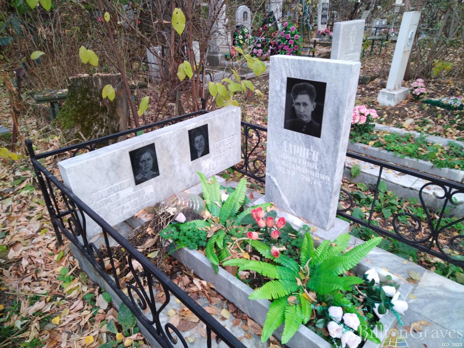 Ларцева Алевтина Петровна