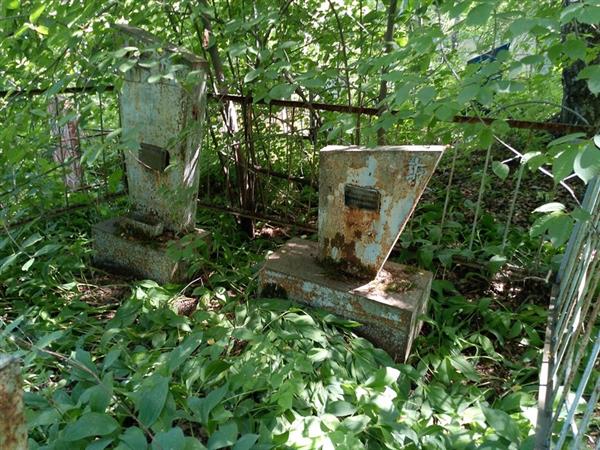 Чекунова Анна Герасимовна