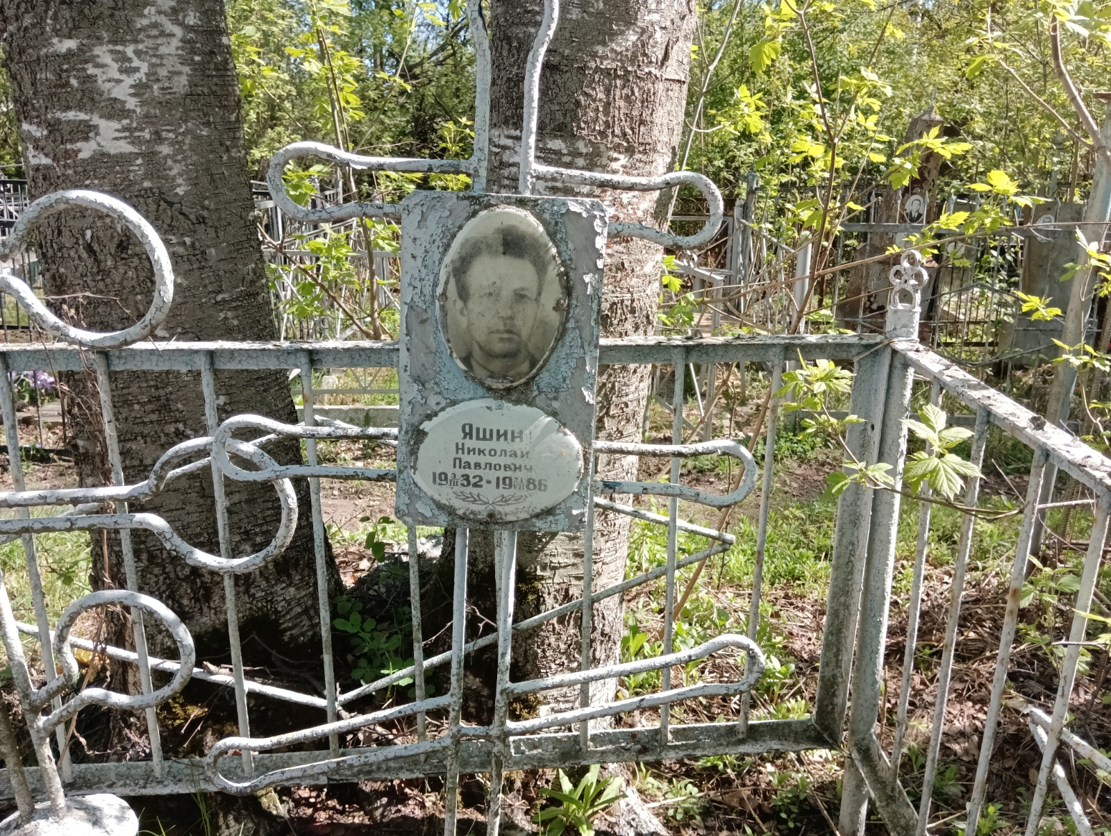Яшин Николай Павлович