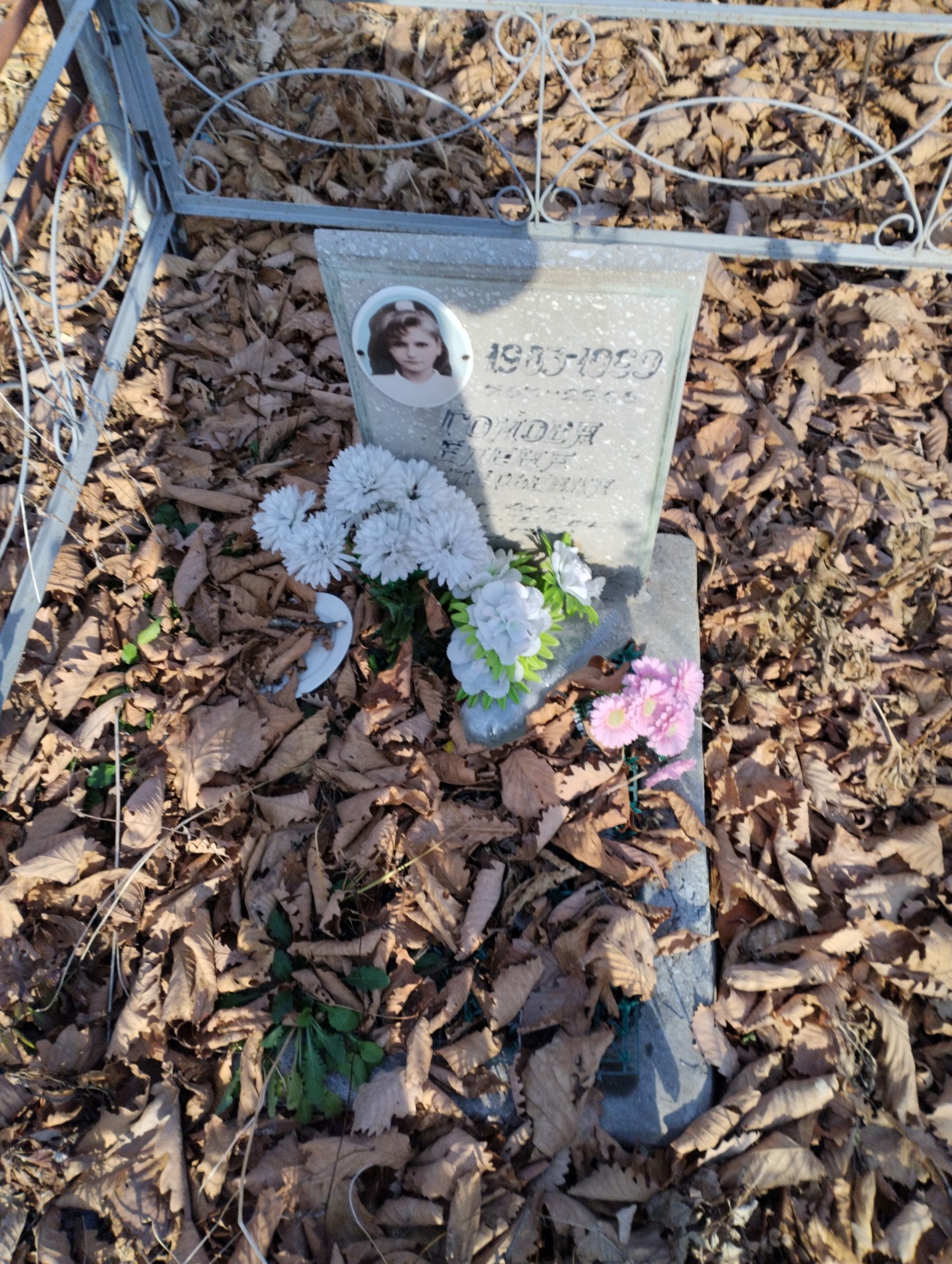 Гомова Елена Валерьевна