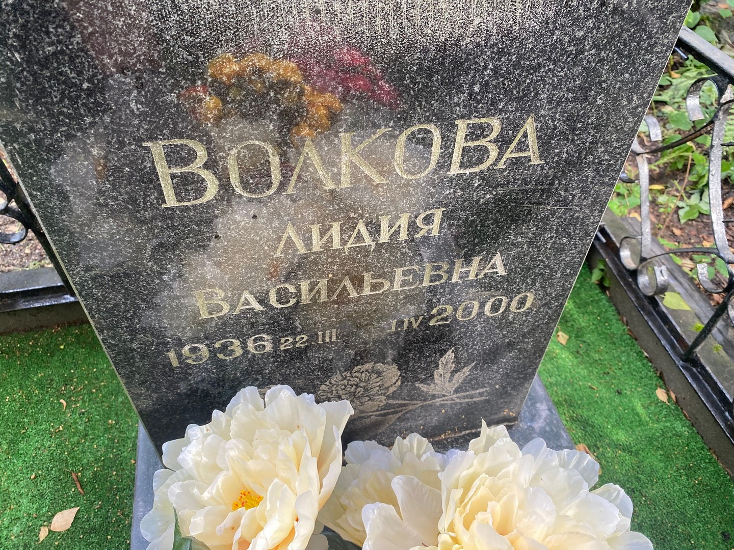 Волкова