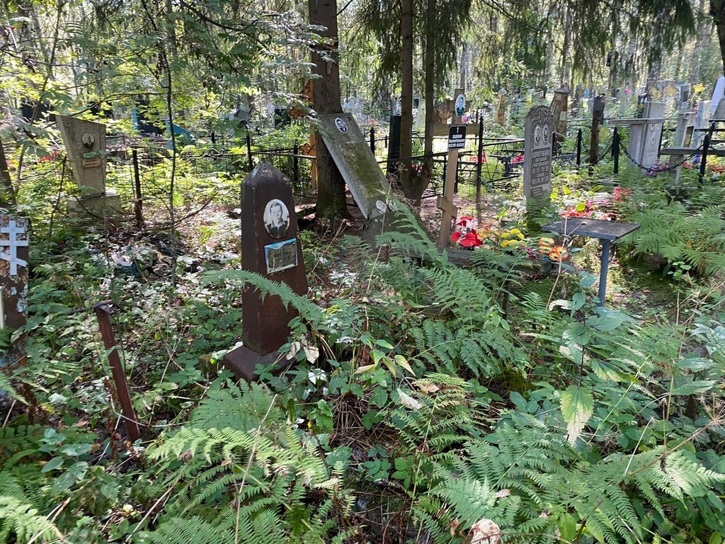 Козулин Александр Александрович