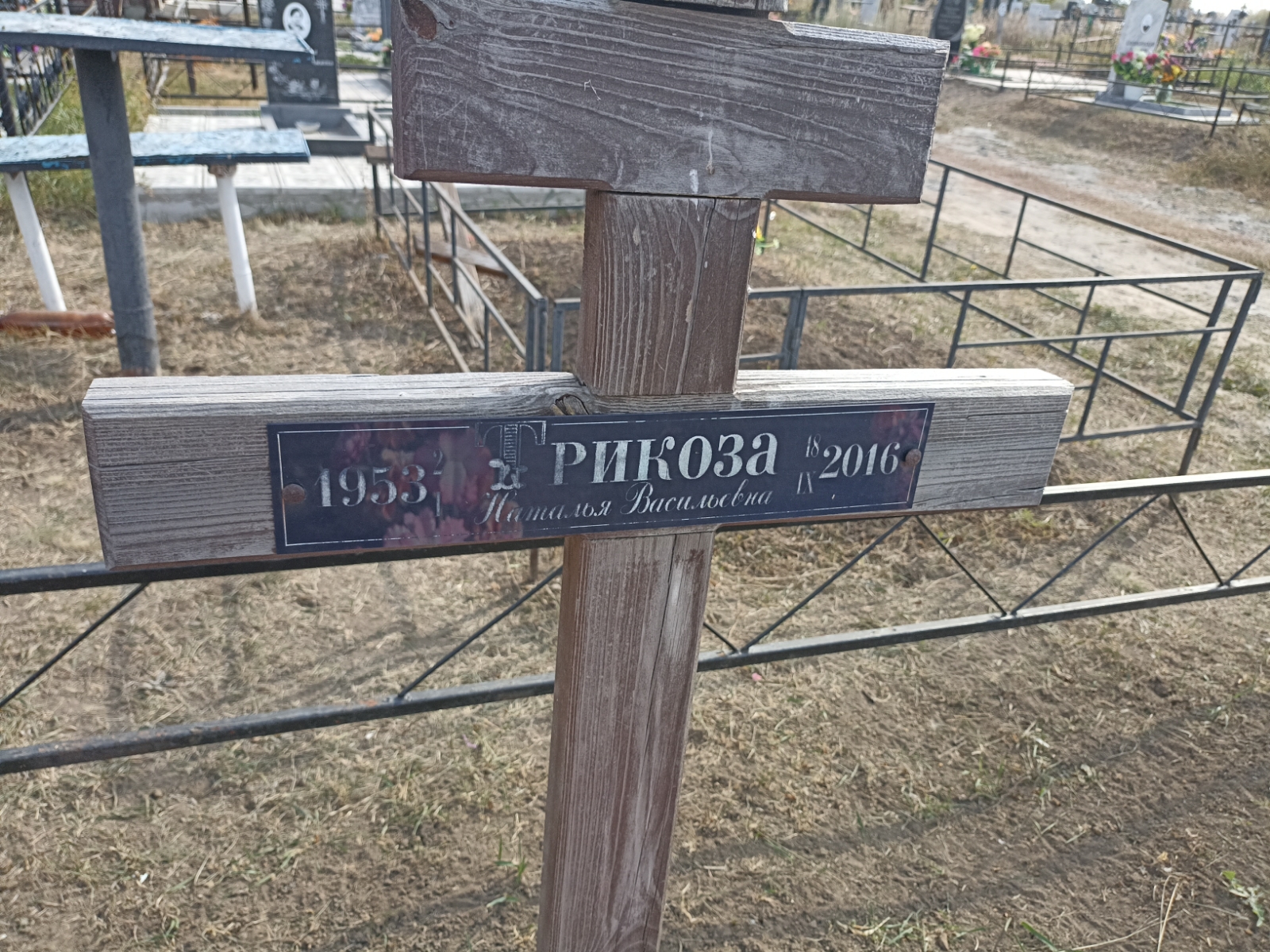 Трикоза Наталья Васильевна