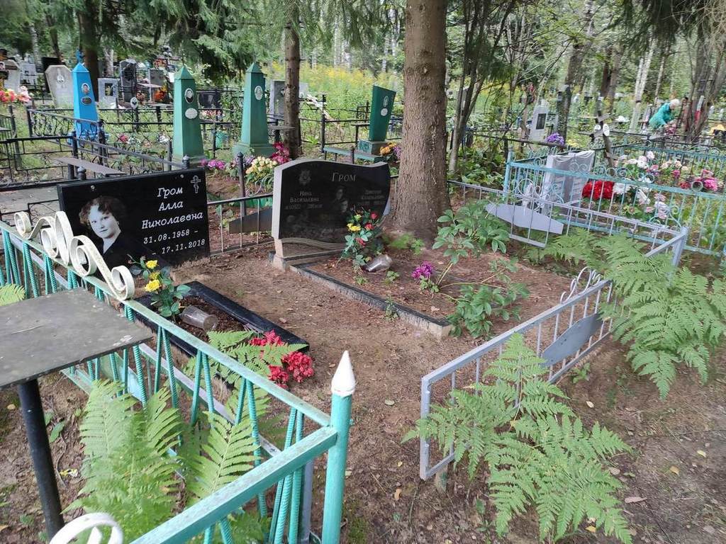 Гром Алла Николаевна