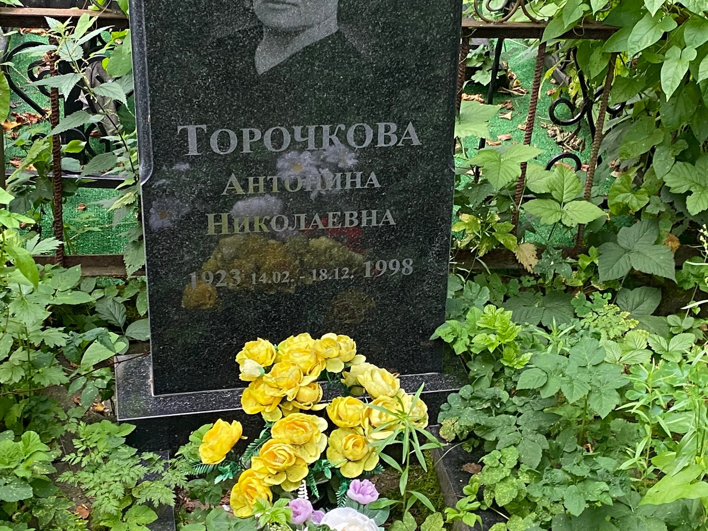 Торочкова Антонина Николаевна