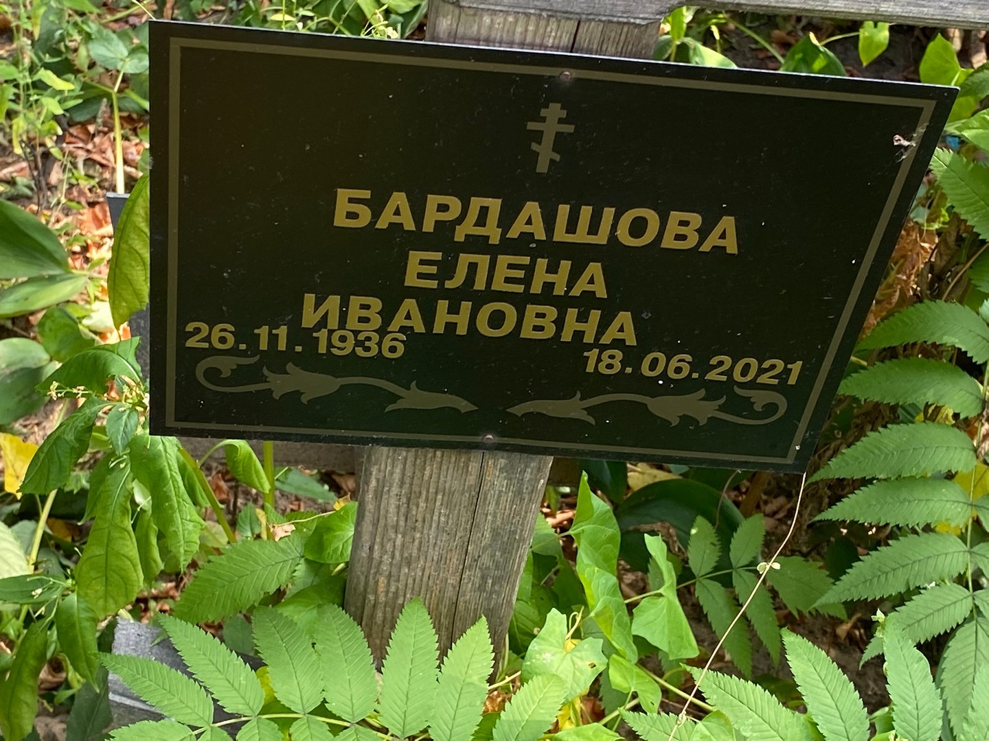 Бардашова