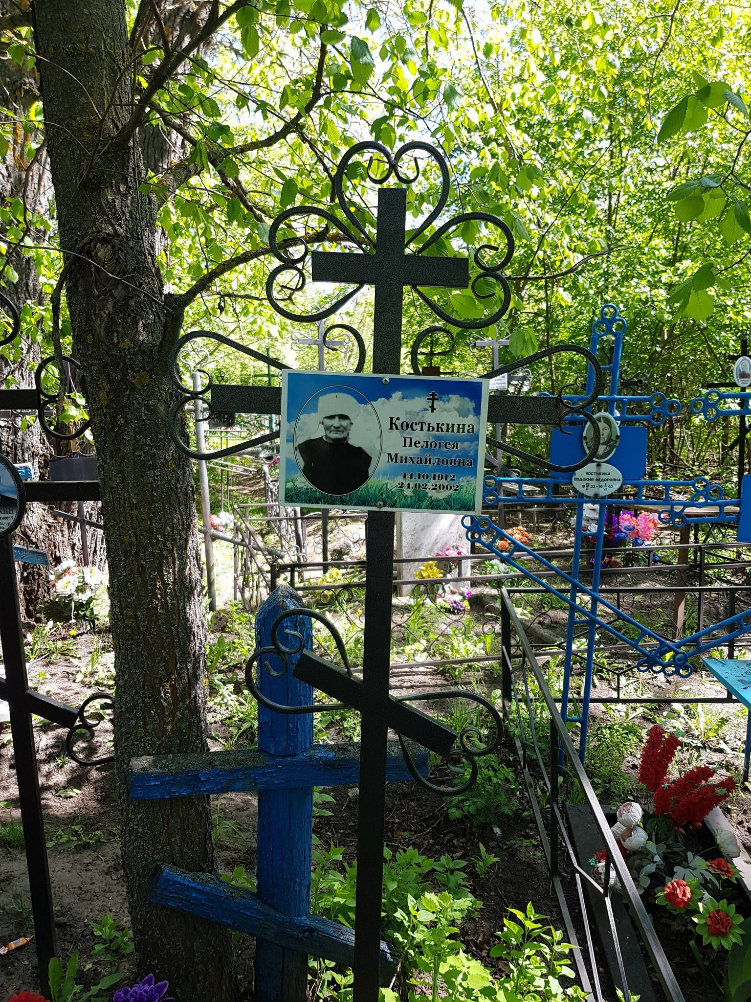 Костькина Пелогея Михайловна