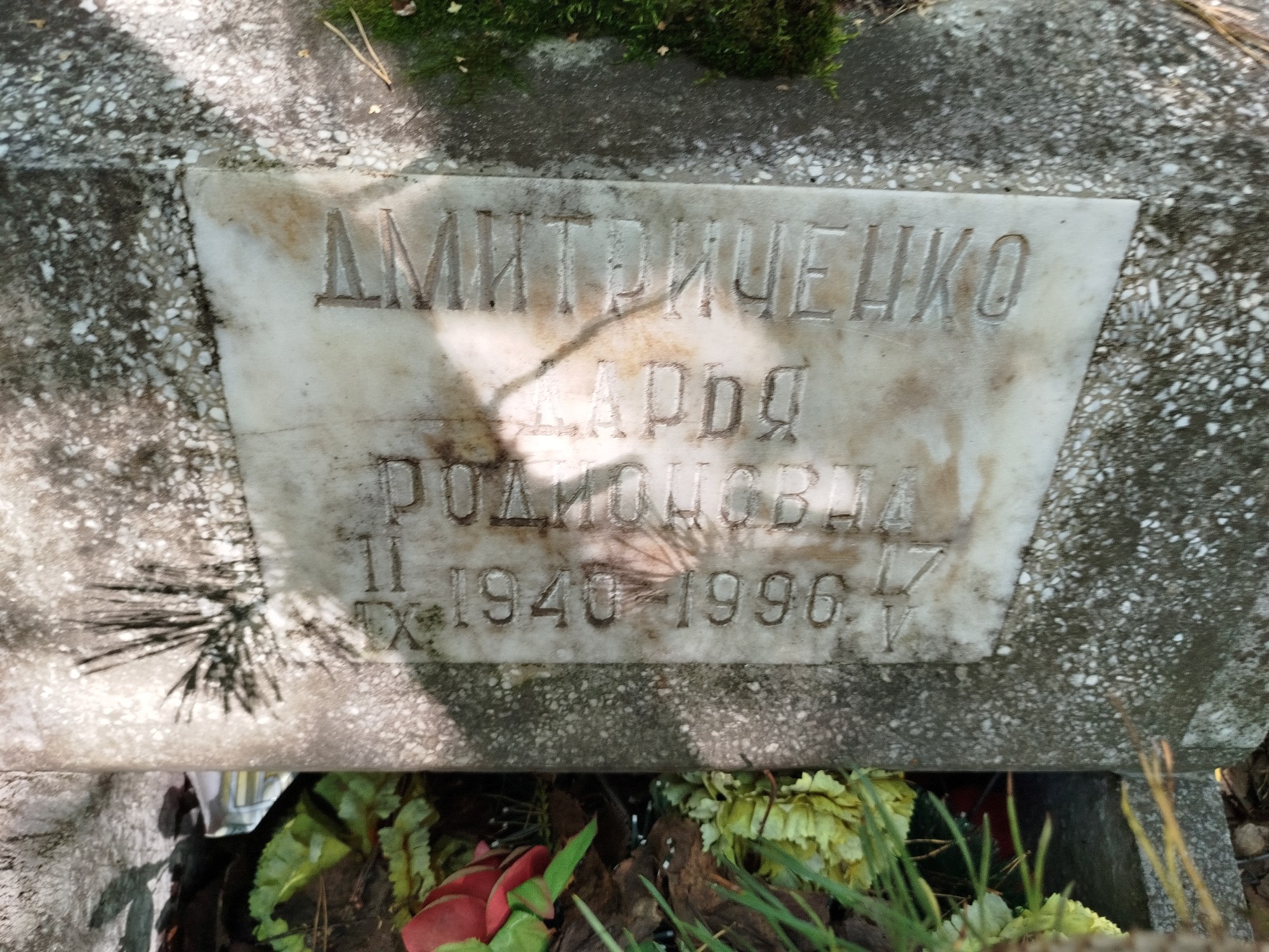 Дмитриченко Дарья Родионовна