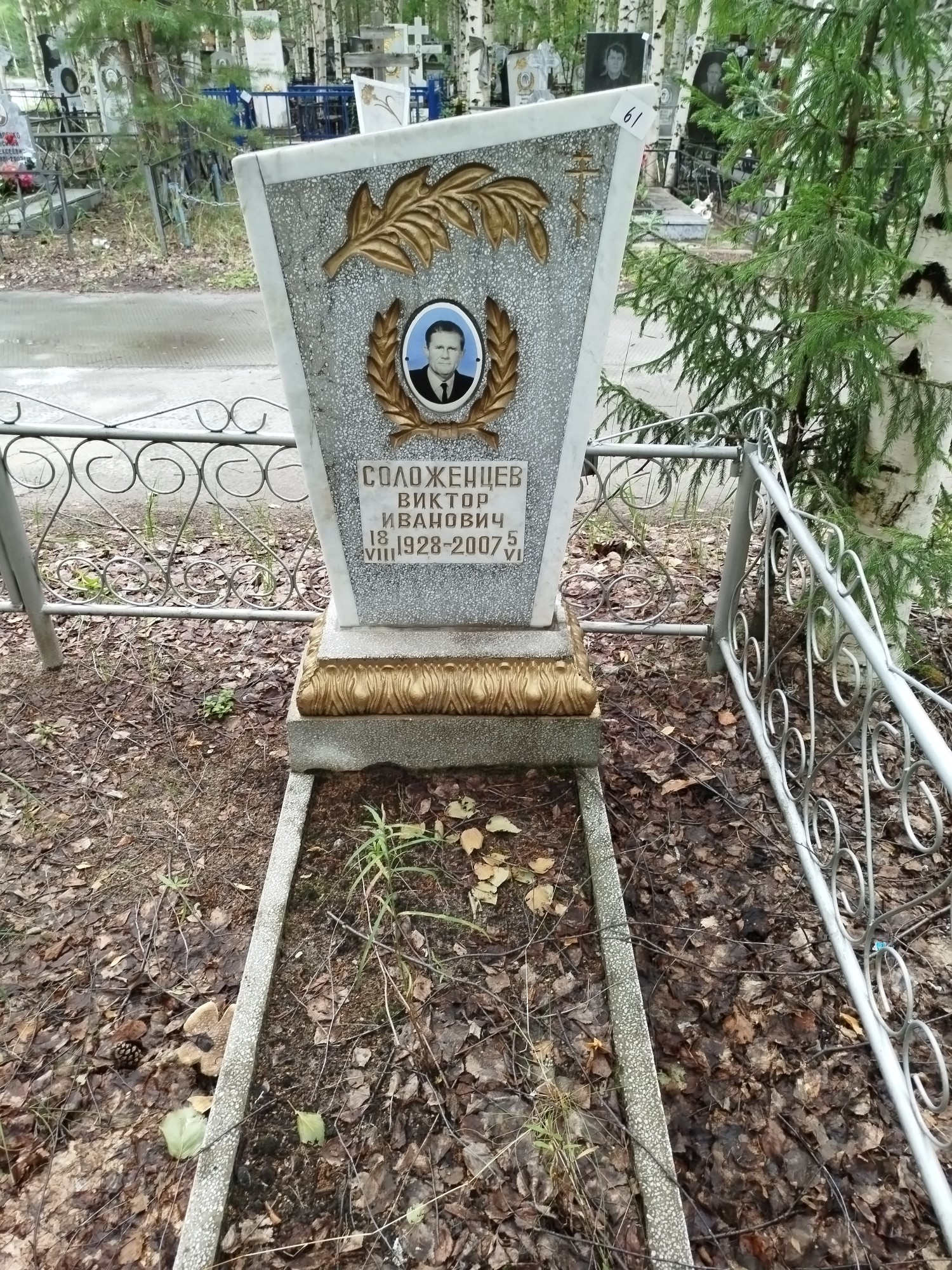 Соложенцев Виктор Иванович