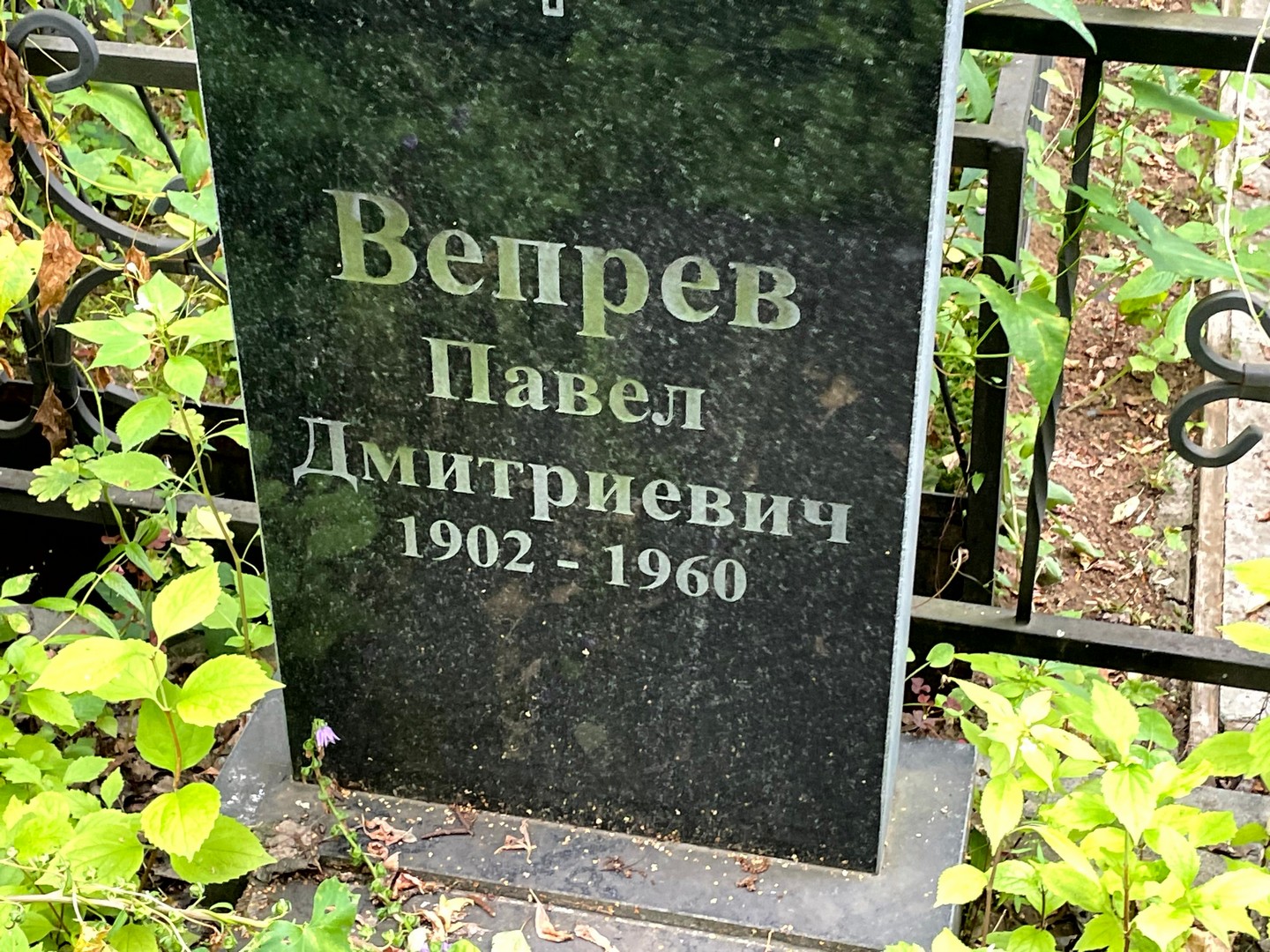 Вепрев