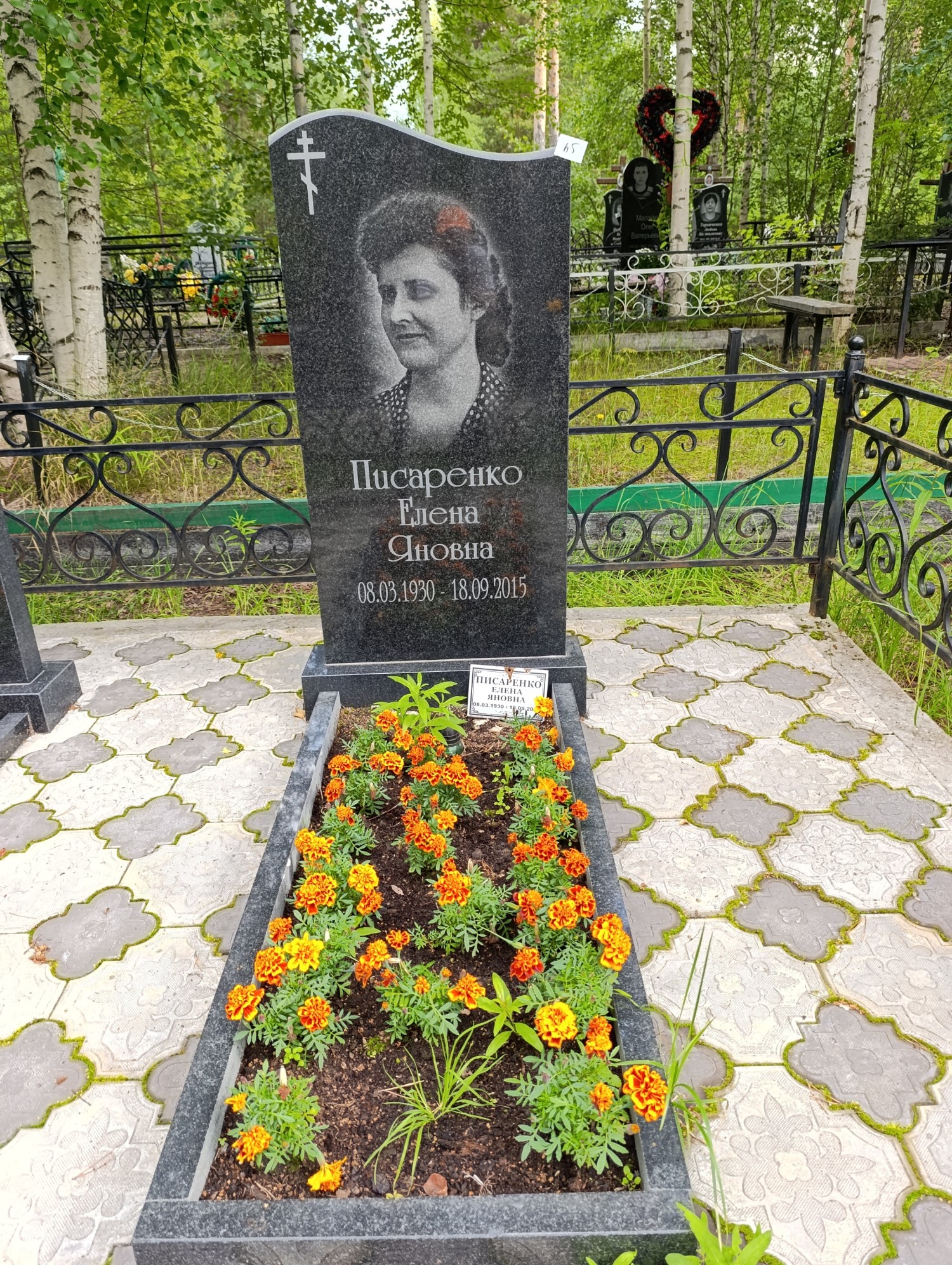 Писаренко Елена Яновна