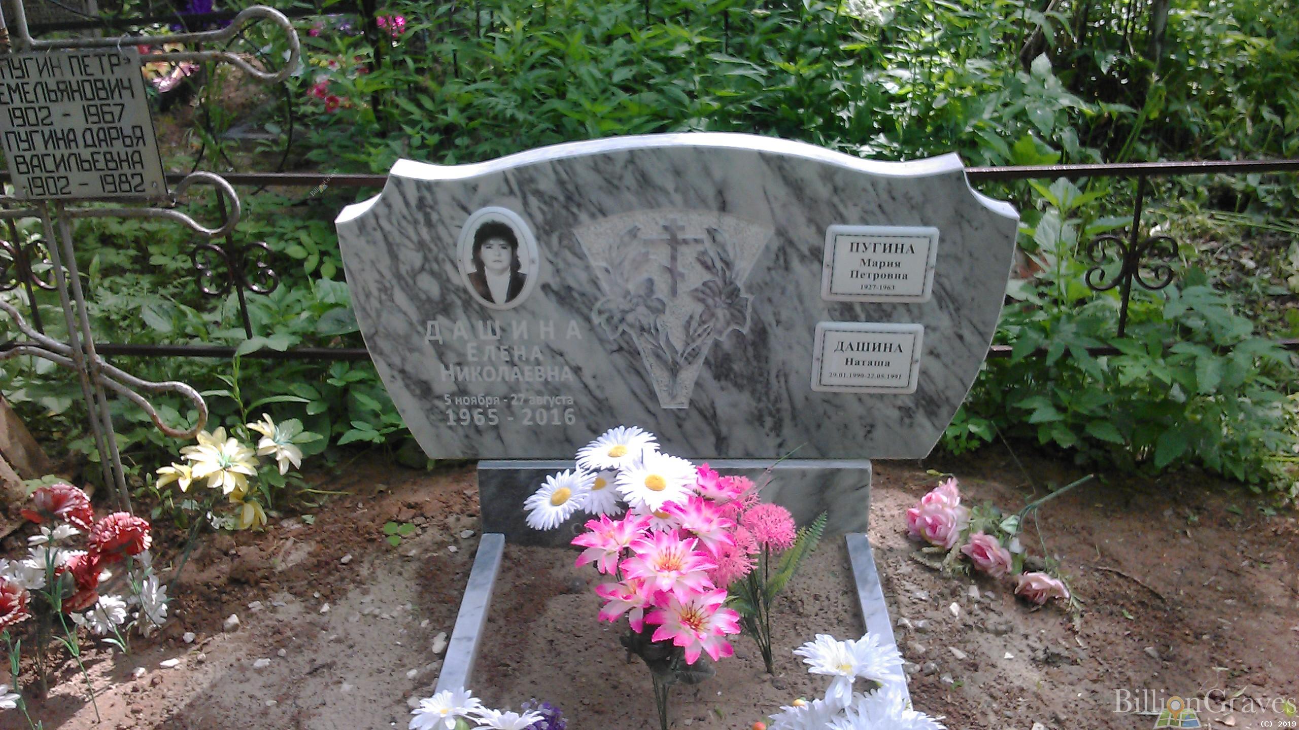 Дашина Елена Николаевна