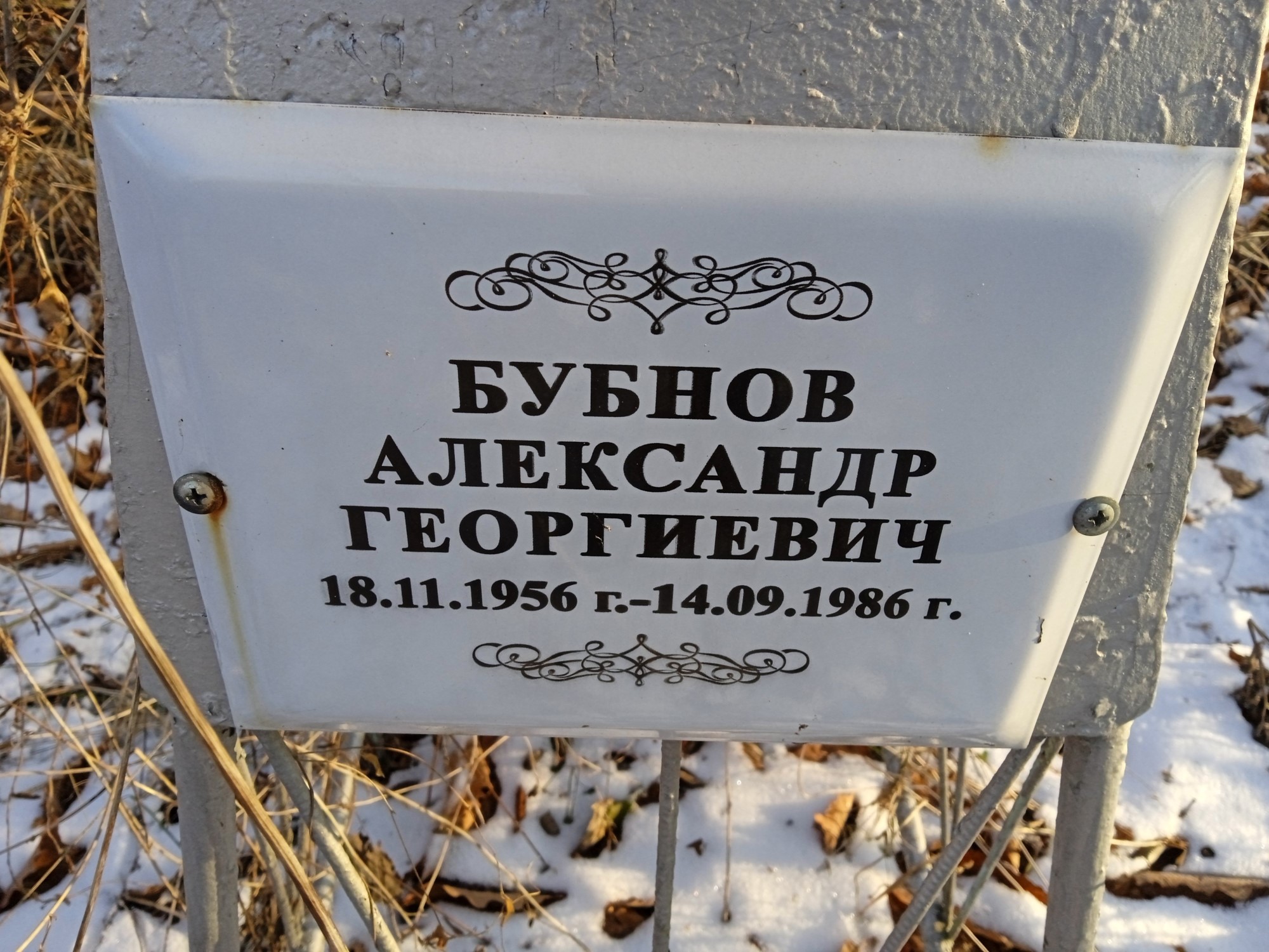 Бубнов Александр Георгиевич
