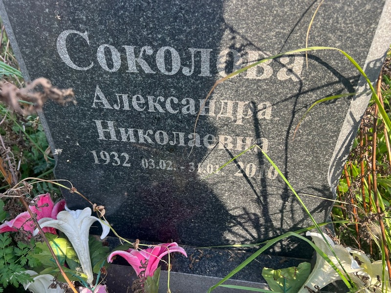 Соколова Александра Николаевна