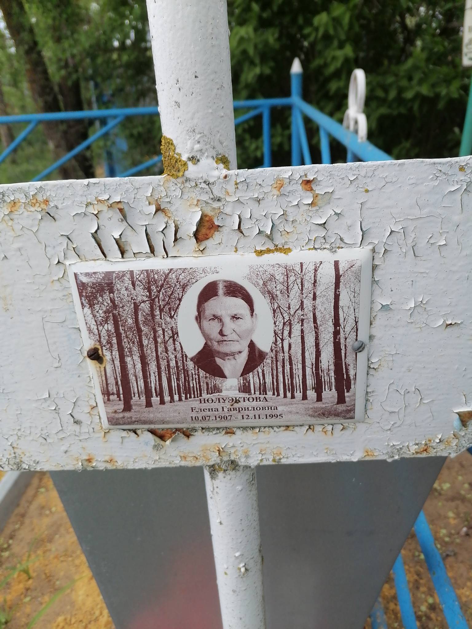 Полуэктова Елена Гавриловна