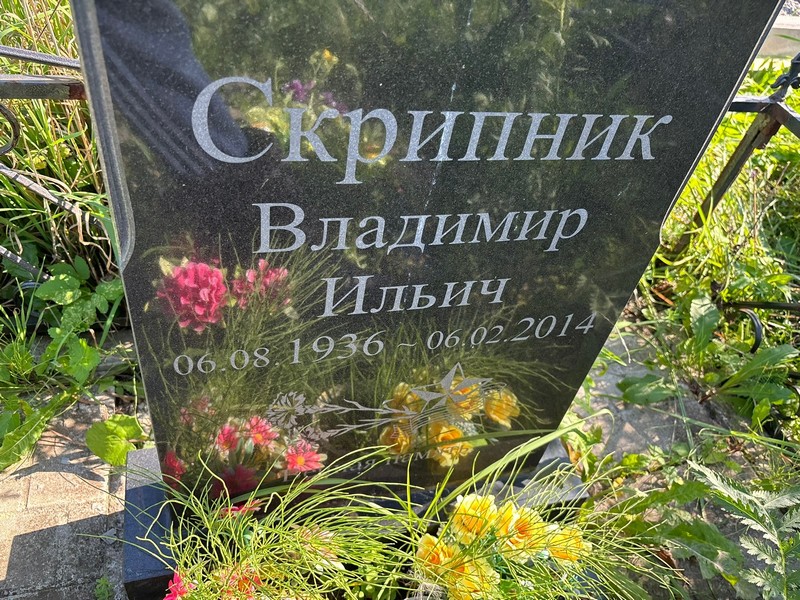 Скрипник