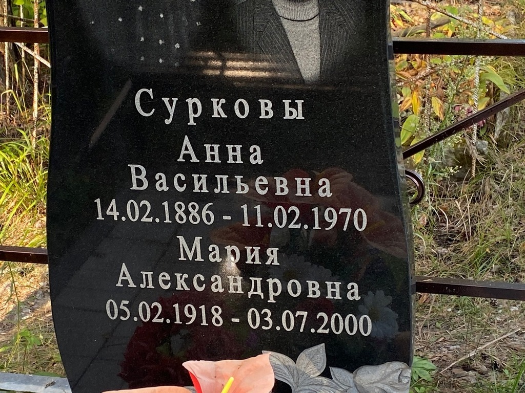 Суркова Мария Александровна