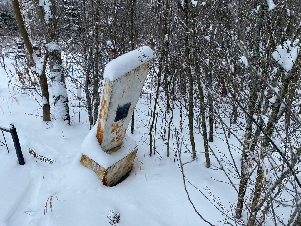 Николаева Анна Николаевна