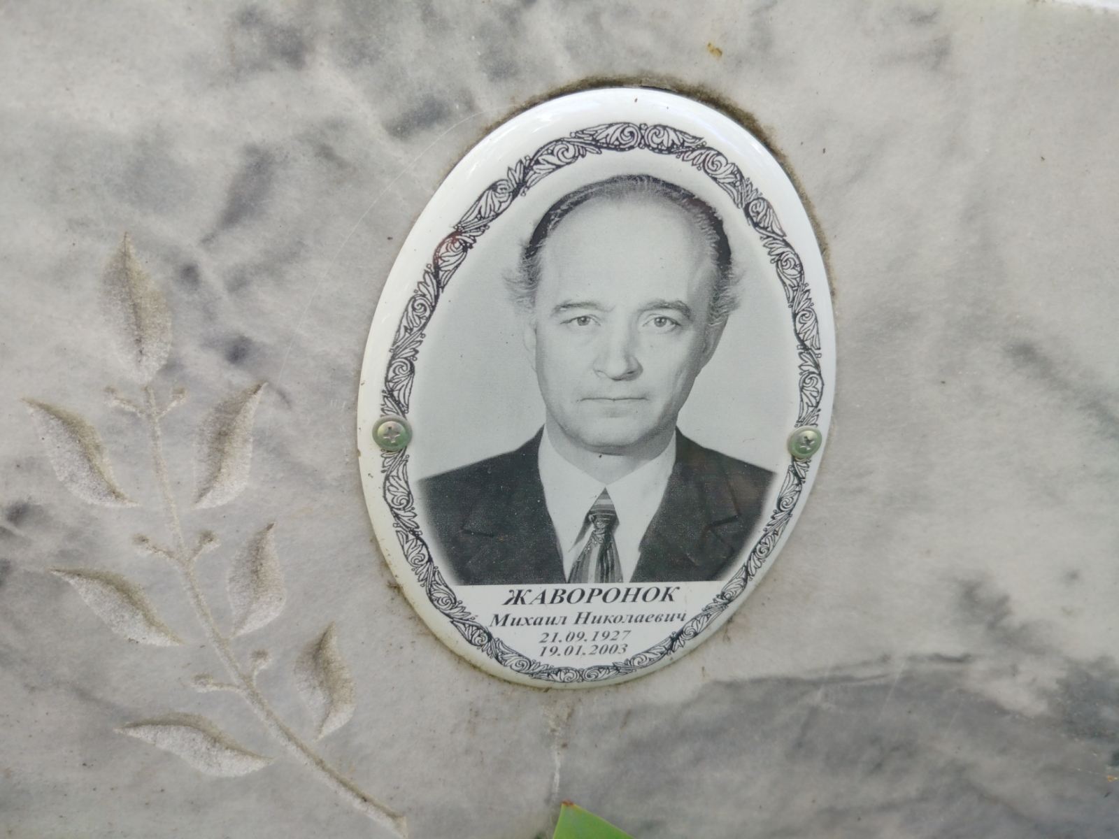 Жаворонок Михаил Николаевич