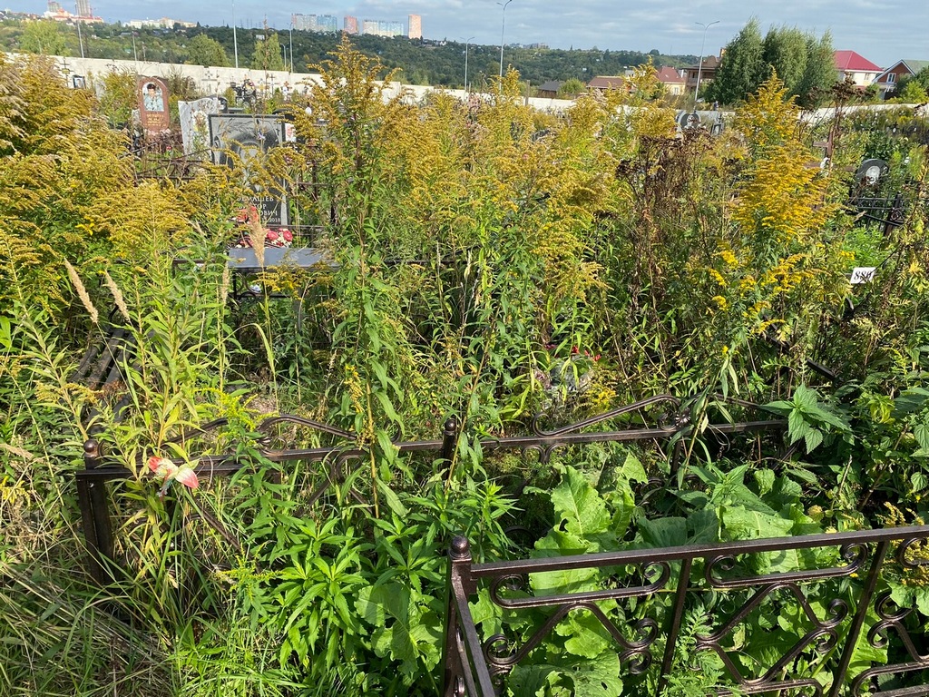 Панина Мария Даниловна