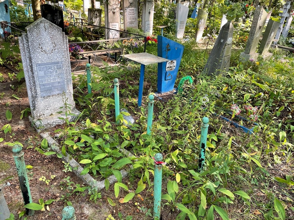 Андреева Ольга Лаврентьевна