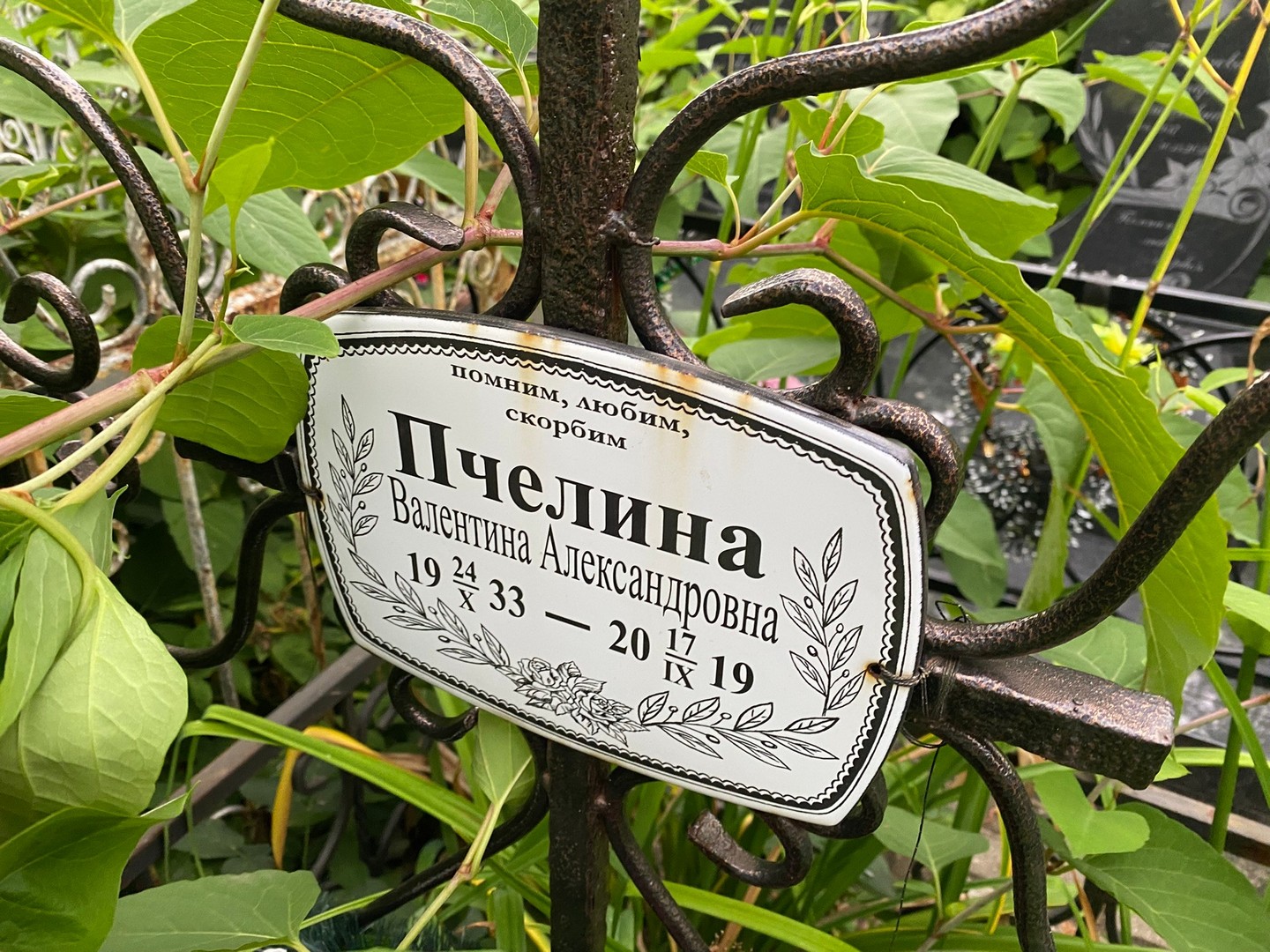 Пчелина