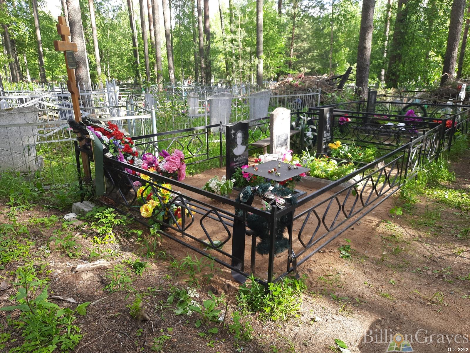 Вострых Александра Александровна