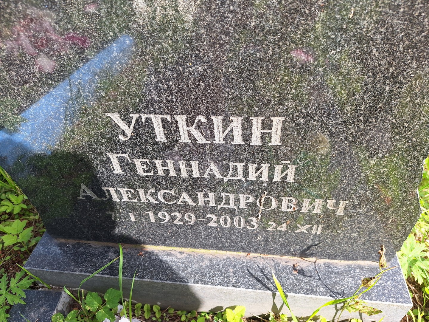 Уткин