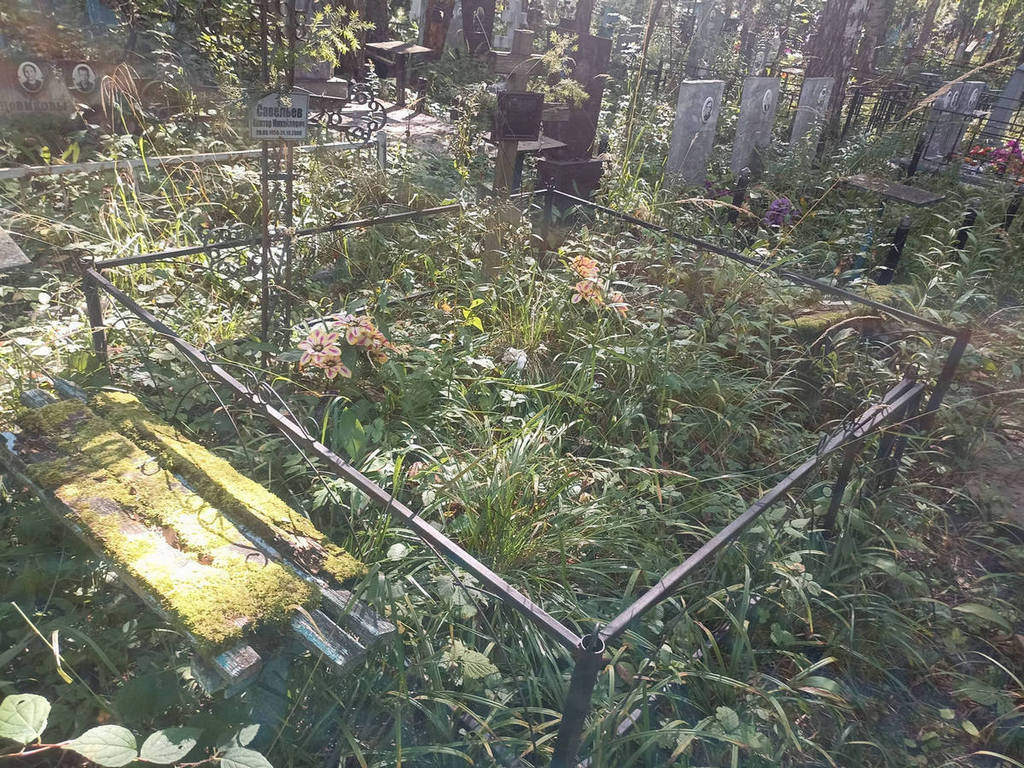 Савельев Виктор Михайлович