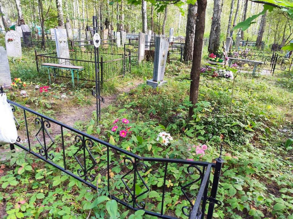 Дмитриева Анна Андреевна