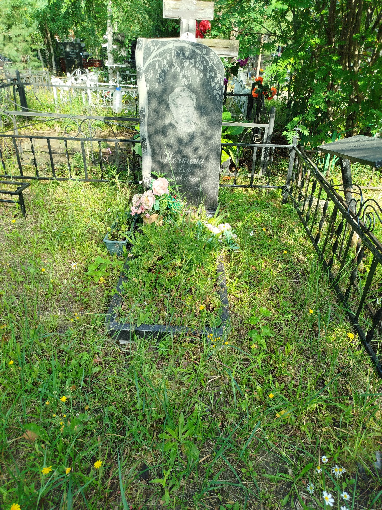 Нечкина Алла Павловна