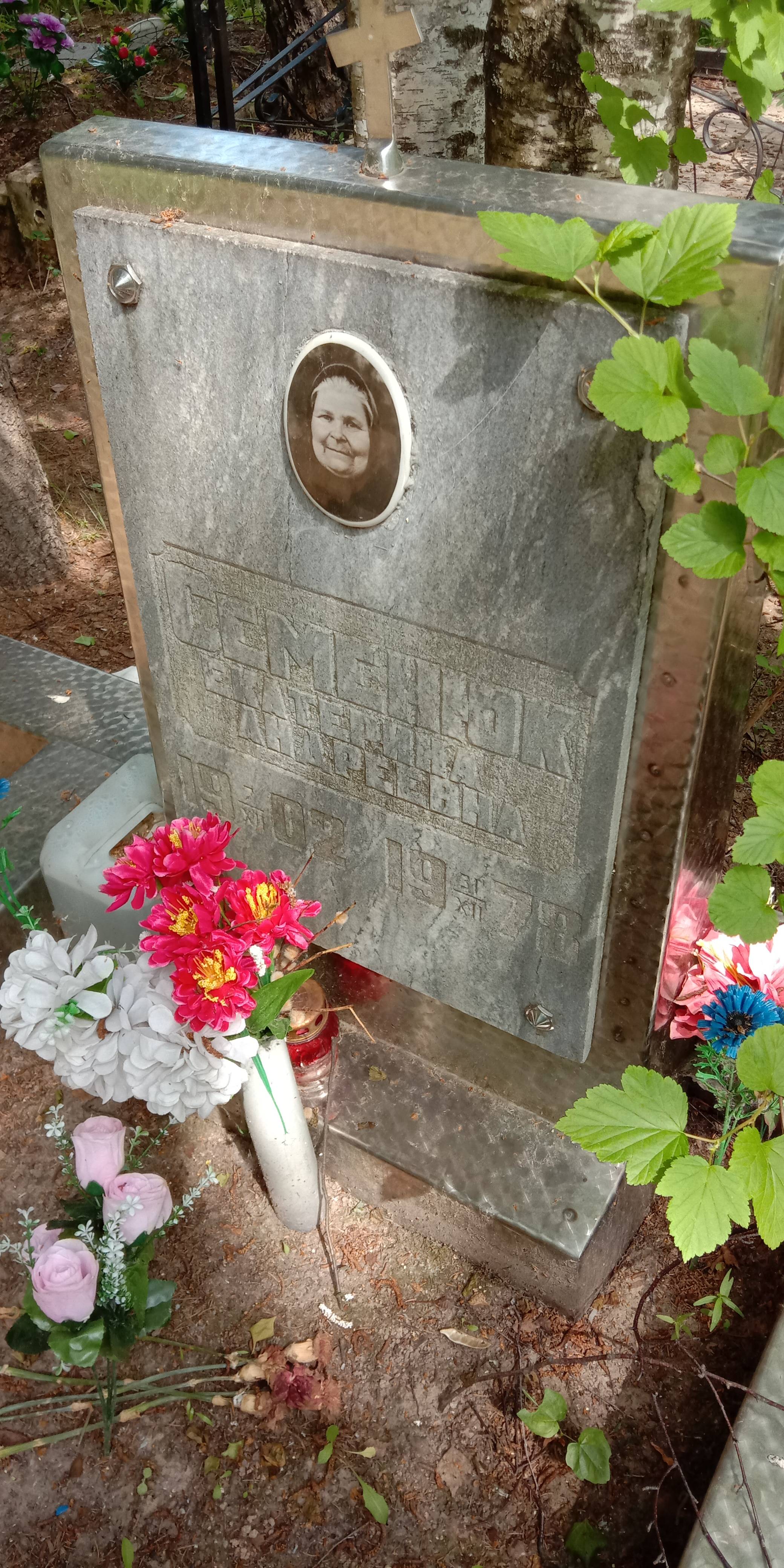 Семенюк Екатерина Андреевна