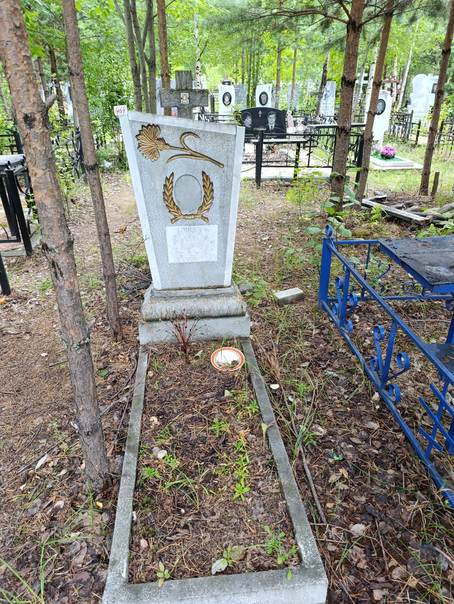 Донских Владимир Дмитриевич