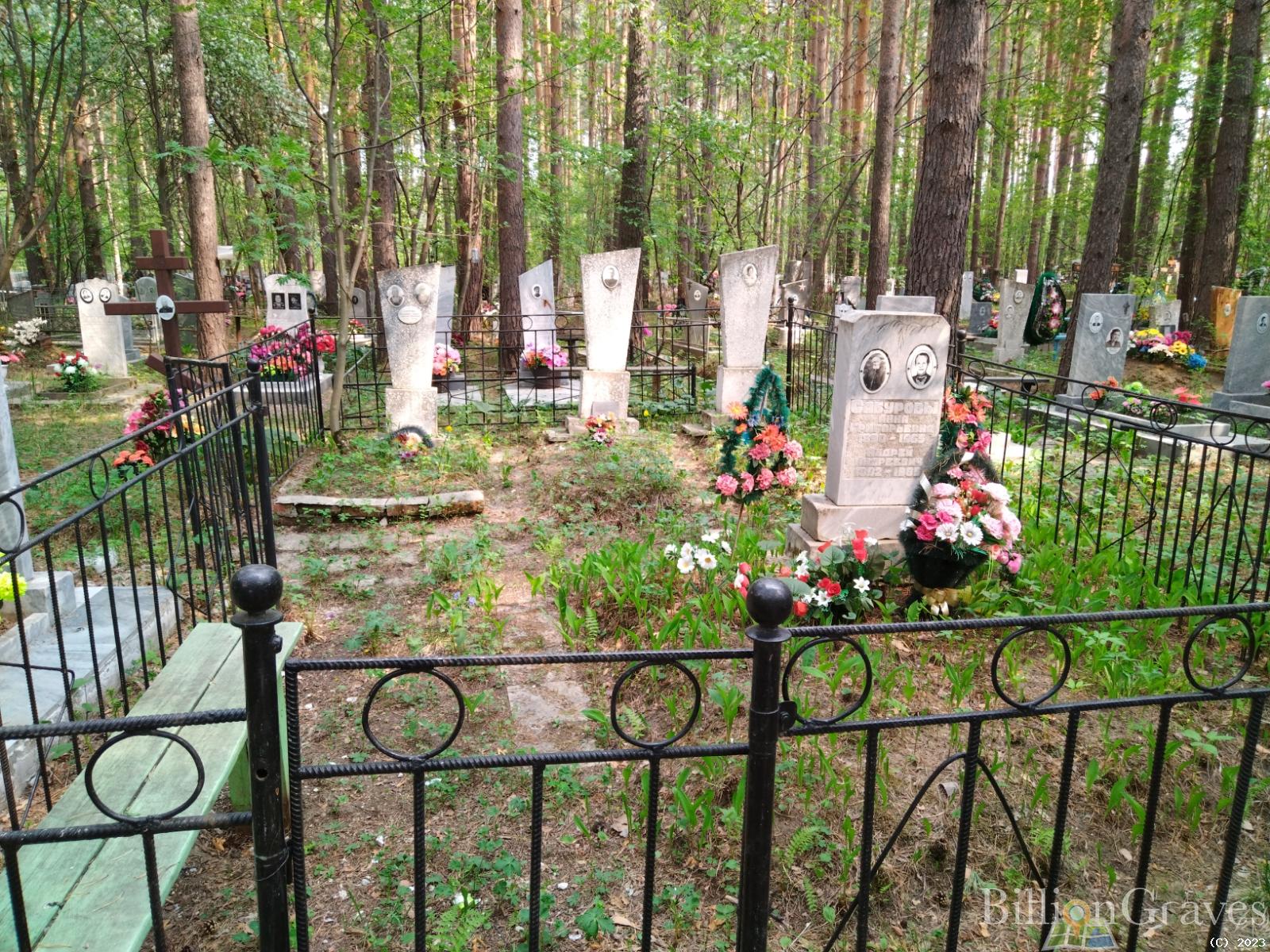 Сабурова-березина Галина Константиновна