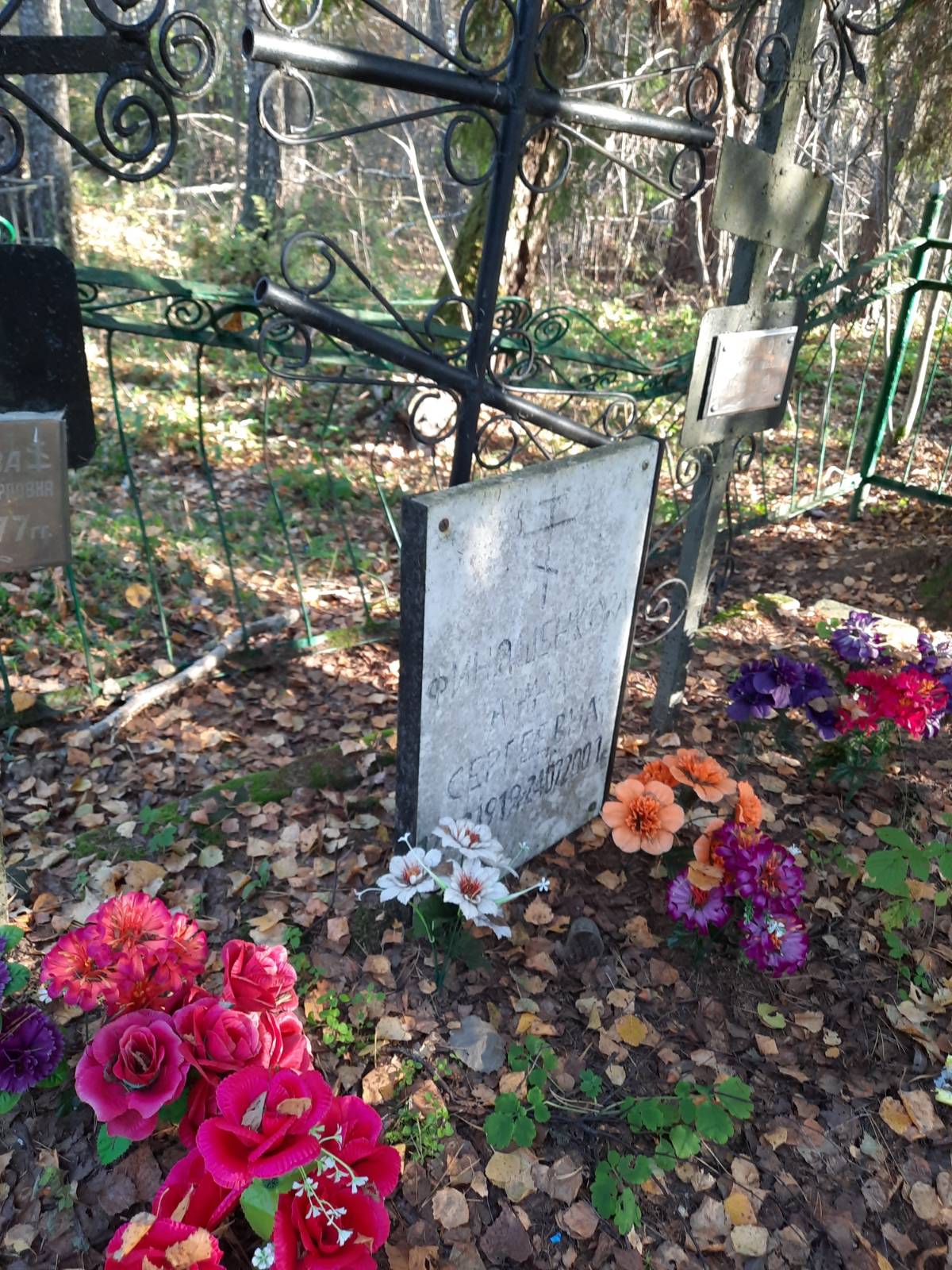 Финашенкова Анна Сергеевна