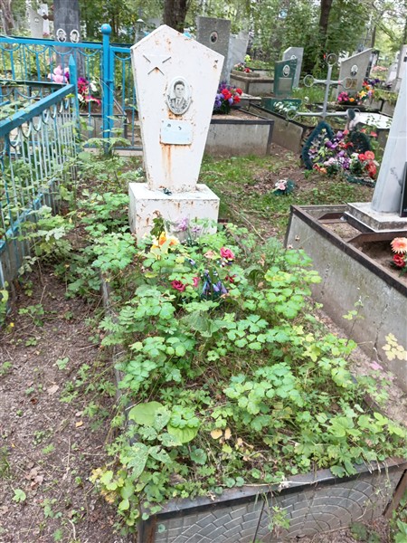 Дулов Александр Григорьевич