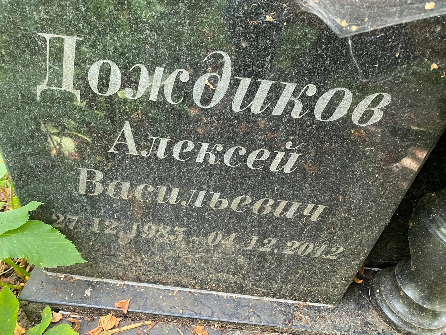 Дождиков
