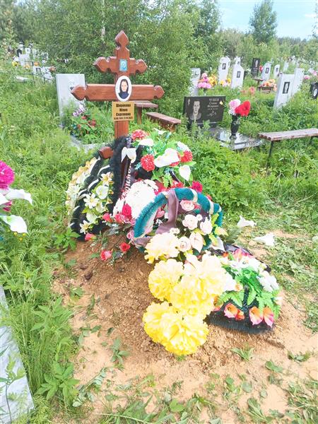 Широкова Юлия Сергеевна