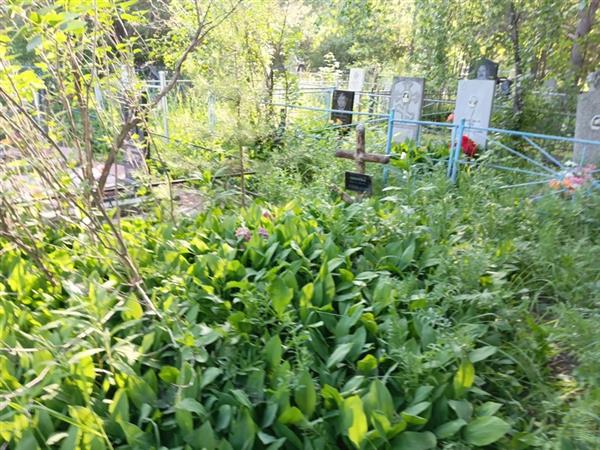 Зверева Ефросинья Ивановна