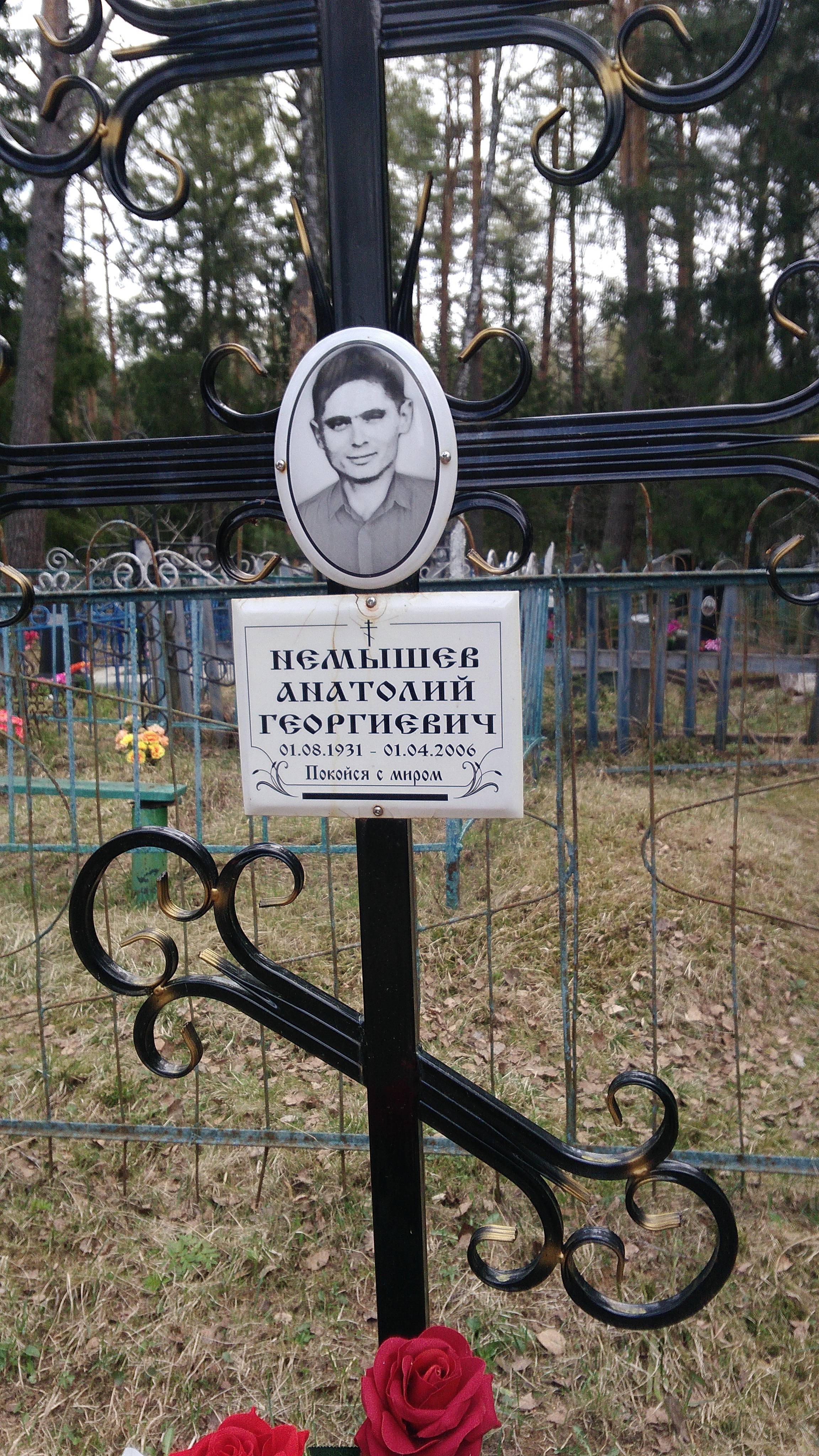 Немышев Анатолий Георгиевич