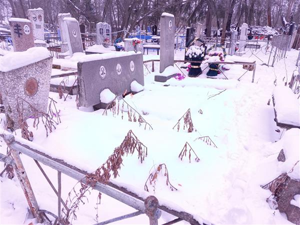Шибанов Василий Григорьевич