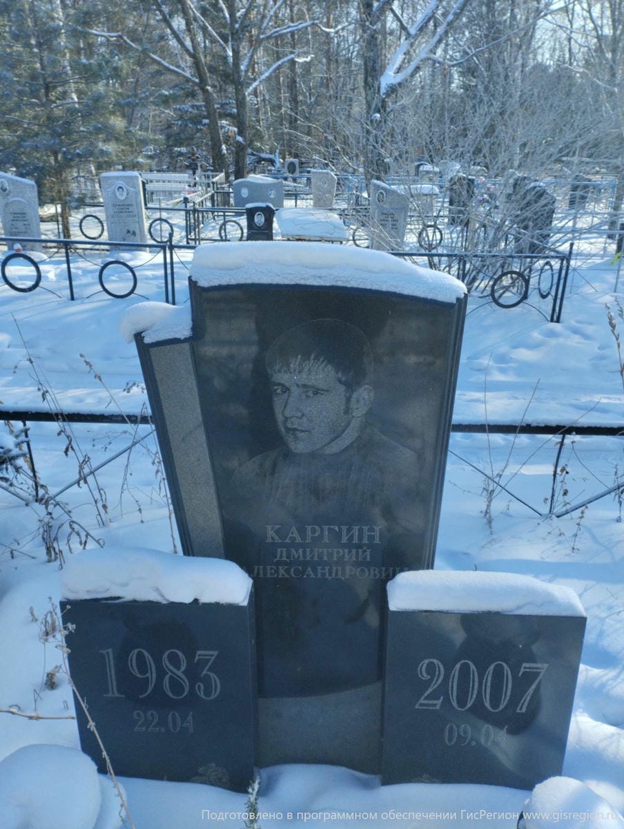 Каргин Дмитрий Александрович