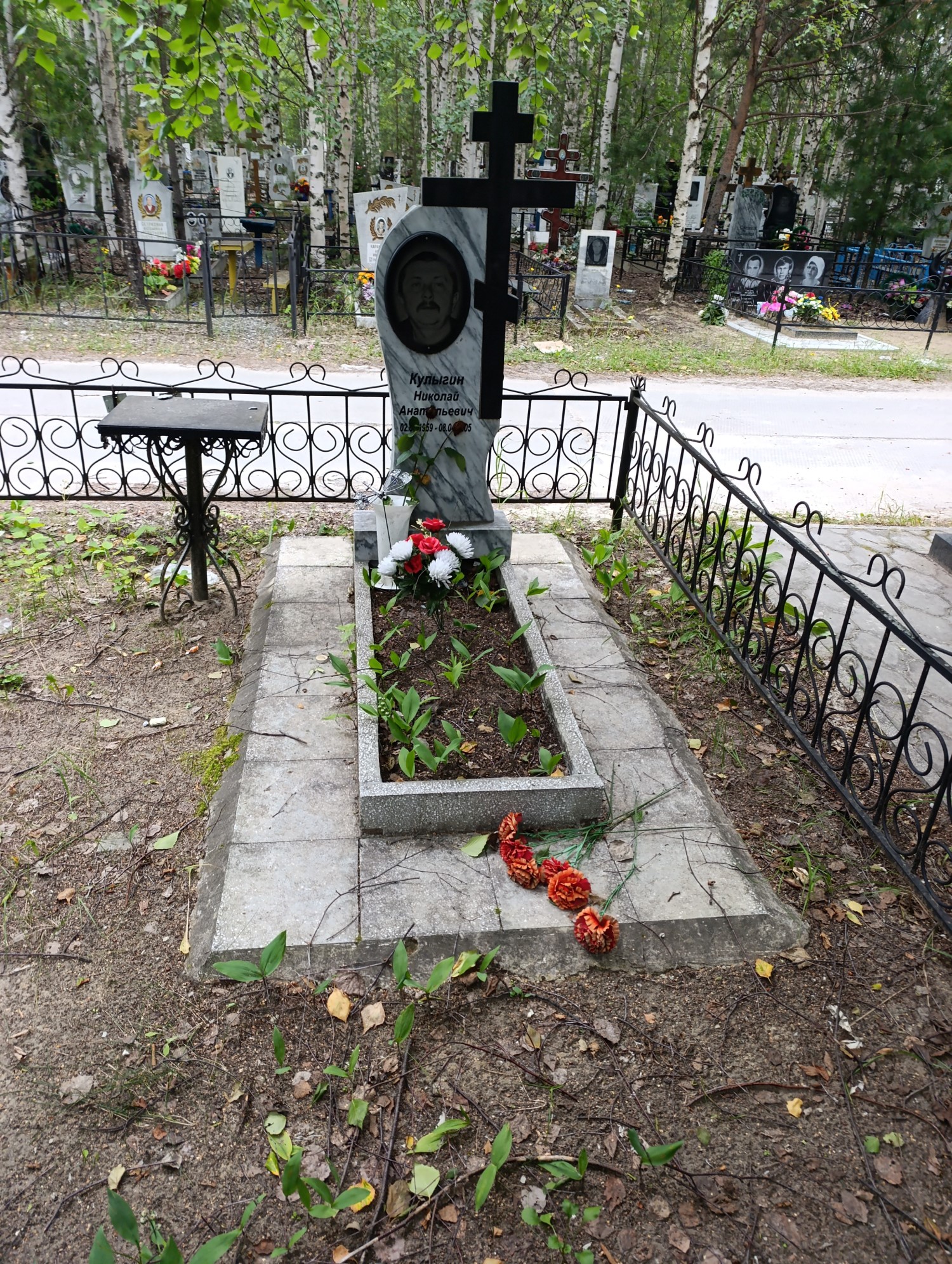 Кулыгин Николай Анатольевич