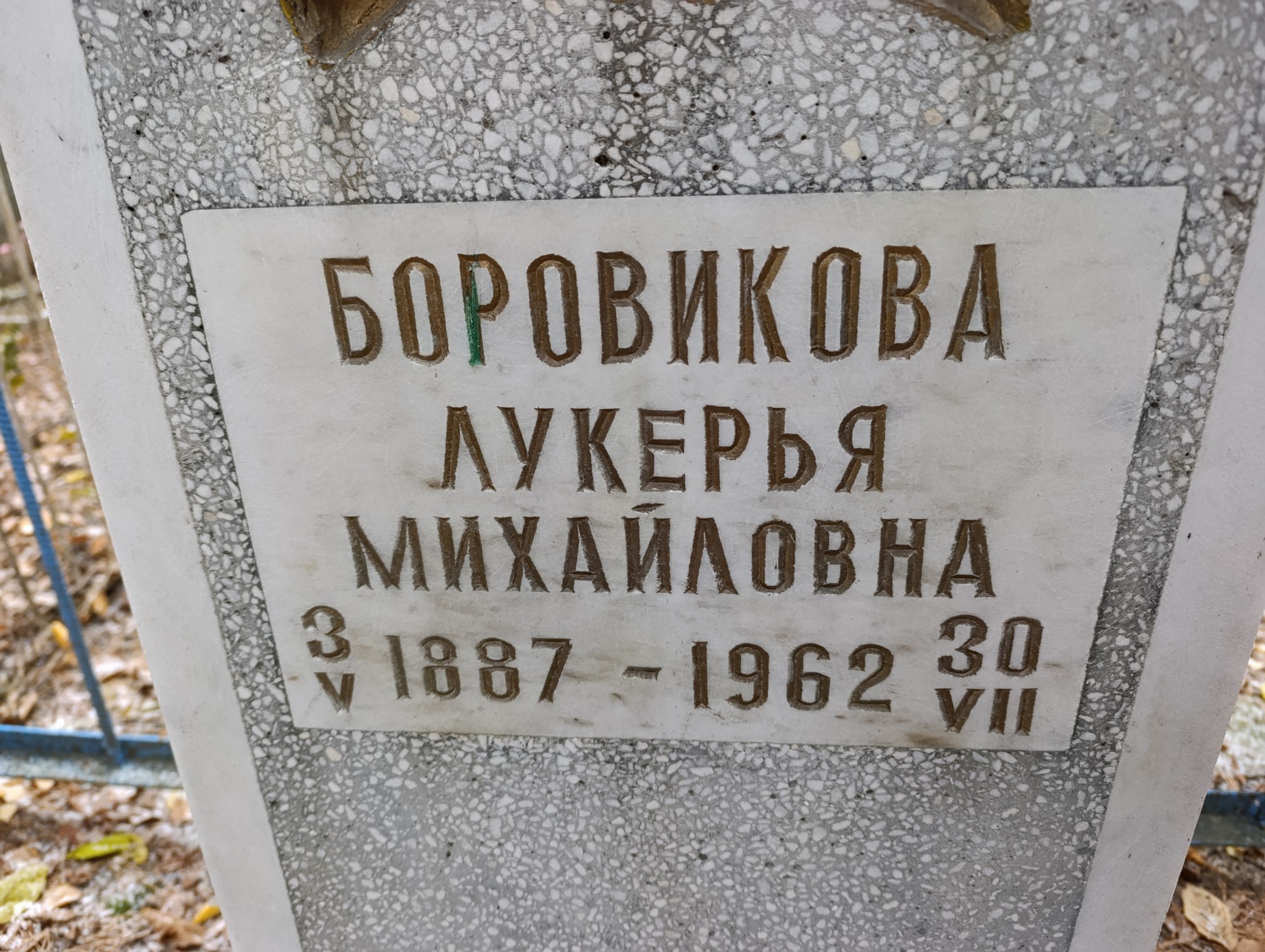 Боровикова Лукерья Михайловна