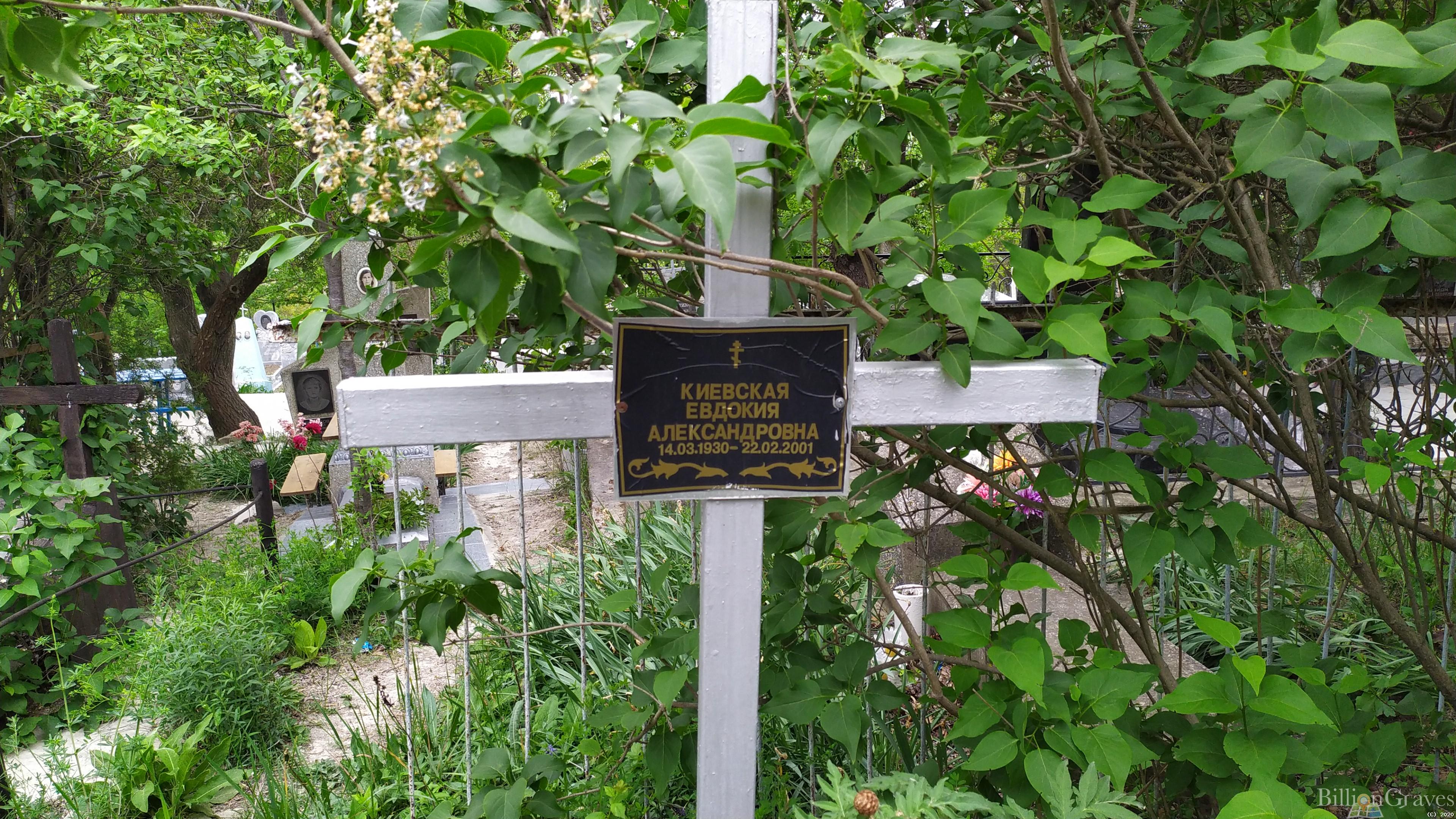 Киевская Евдокия Александровна