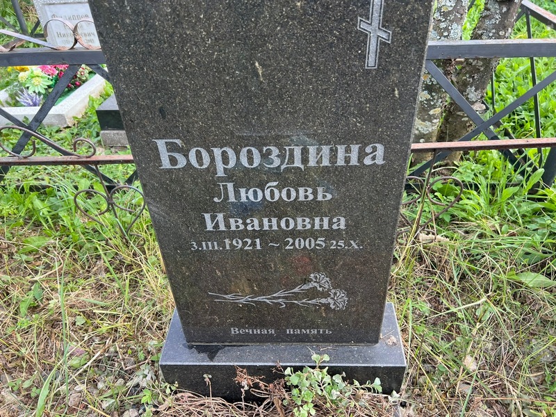 Бороздина